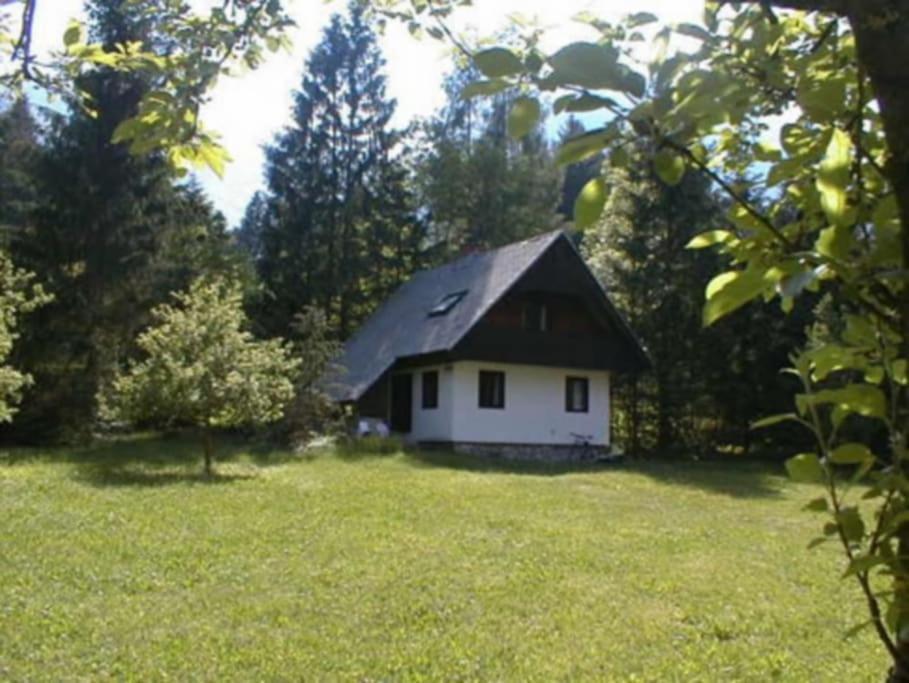 Apartment Lake Bohinj No. 5 Extérieur photo