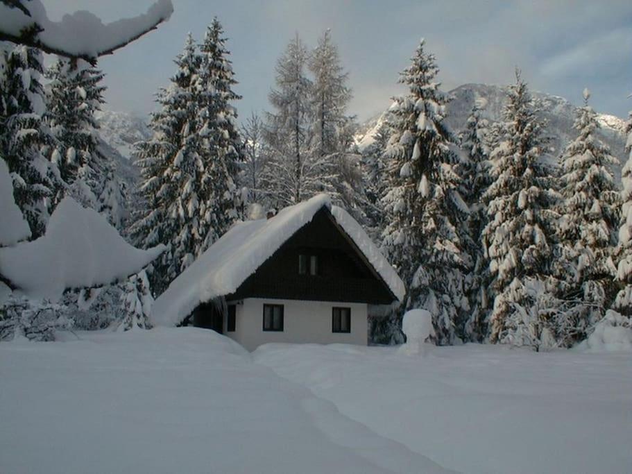 Apartment Lake Bohinj No. 5 Extérieur photo
