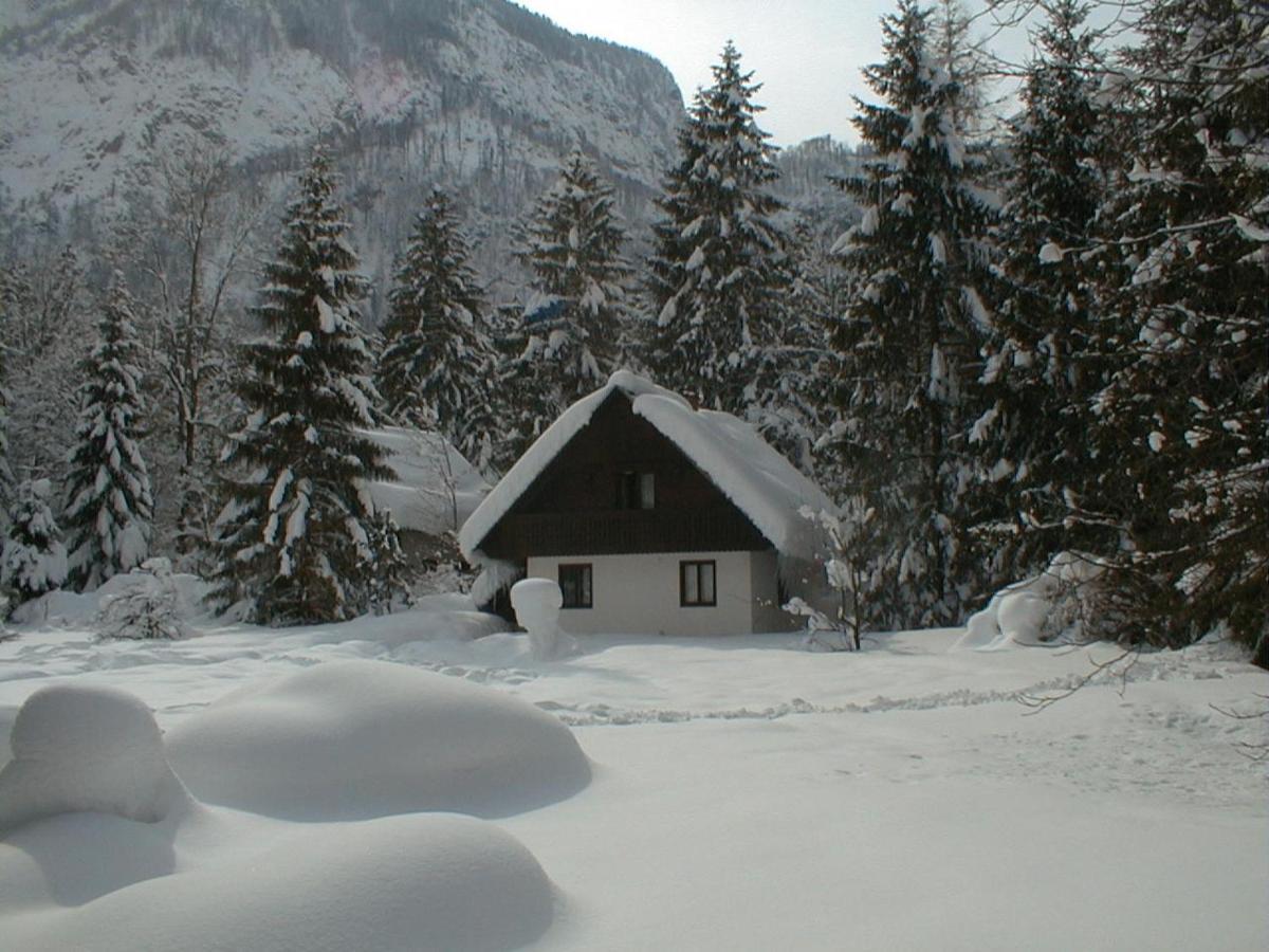 Apartment Lake Bohinj No. 5 Extérieur photo