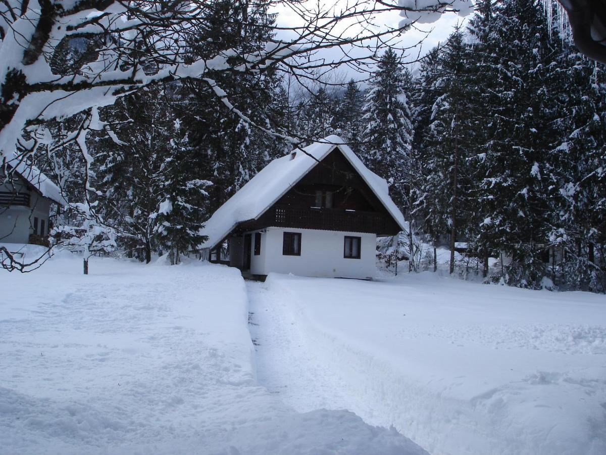 Apartment Lake Bohinj No. 5 Extérieur photo