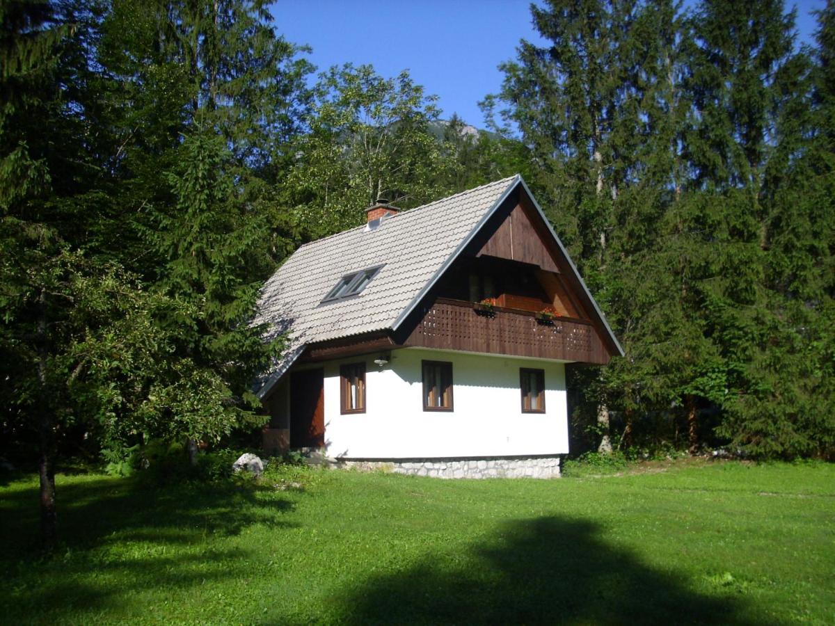 Apartment Lake Bohinj No. 5 Extérieur photo